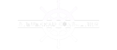 Steuerrad Consulting